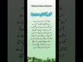 Shohar Ke Bistar Se Door Rehna – Powerful Urdu Quote on Marriage, Women Rights &amp; Islamic Perspective
