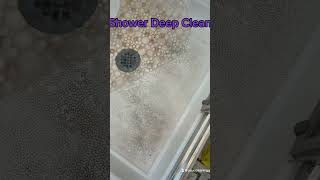 Shower Deep Clean
