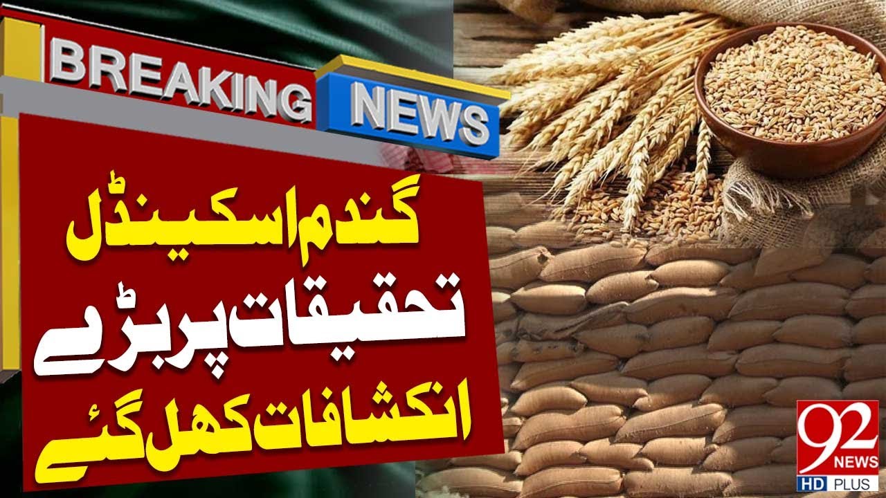 Wheat Scandal | Big Revelation about How wheat Came into Pakistan ...