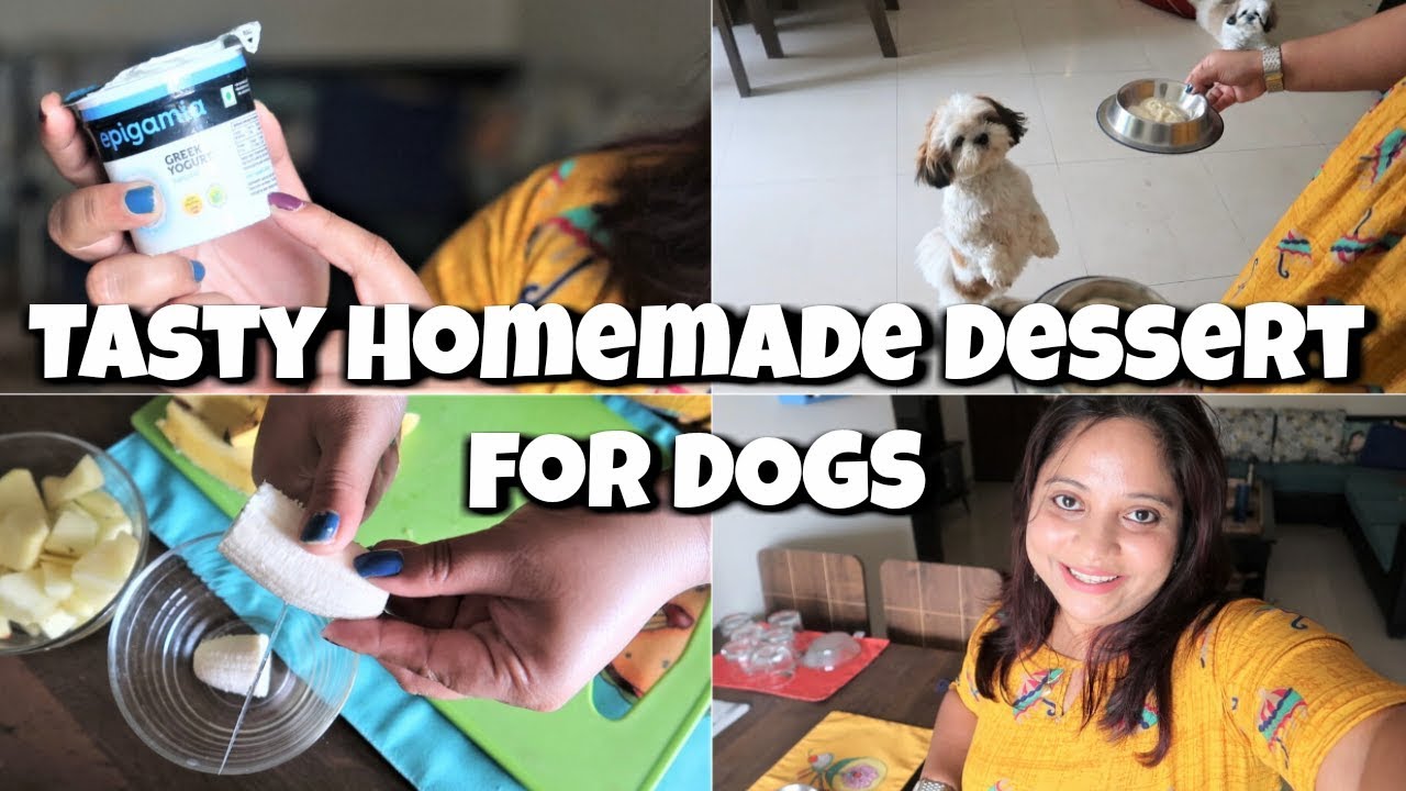 Homemade Desserts For Dogs Make A Quick Healthy Dessert Tasty And