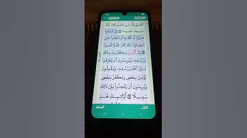 سورة النساء الآية 149-151 سعد الغامدي