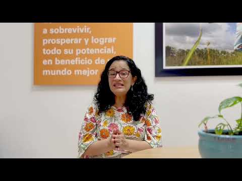 La obesidad infantil supera por primera vez al bajo peso como principal malnutrición, alerta UNICEF