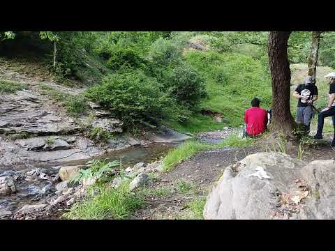 جنگلهای بکر الاشت الاشت ایران رضا شاه