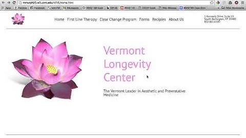 CS142 Usability Test