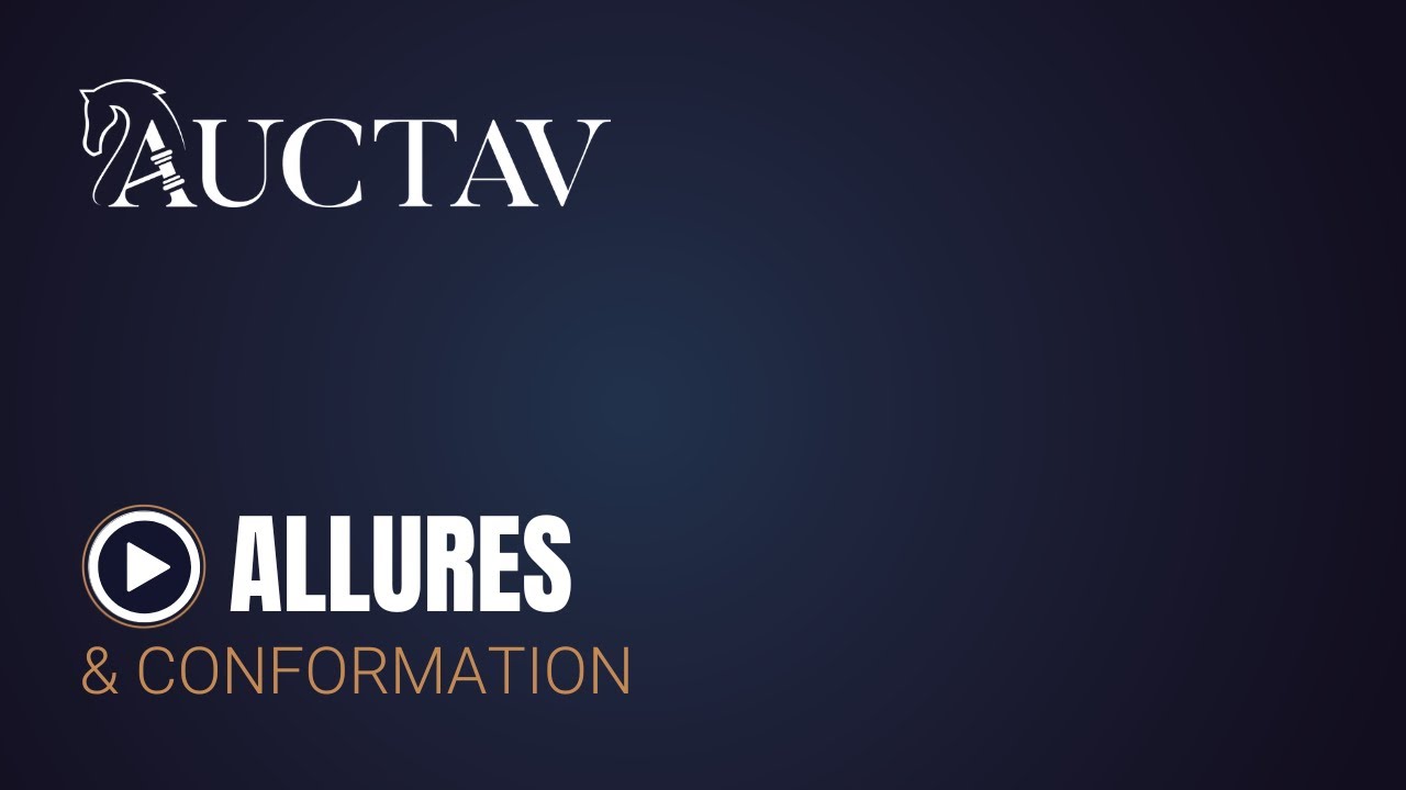 QUIANA - WINTER BREEDING SALE