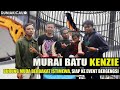 Murai batu kenzie  burung muda bertalenta istimewa