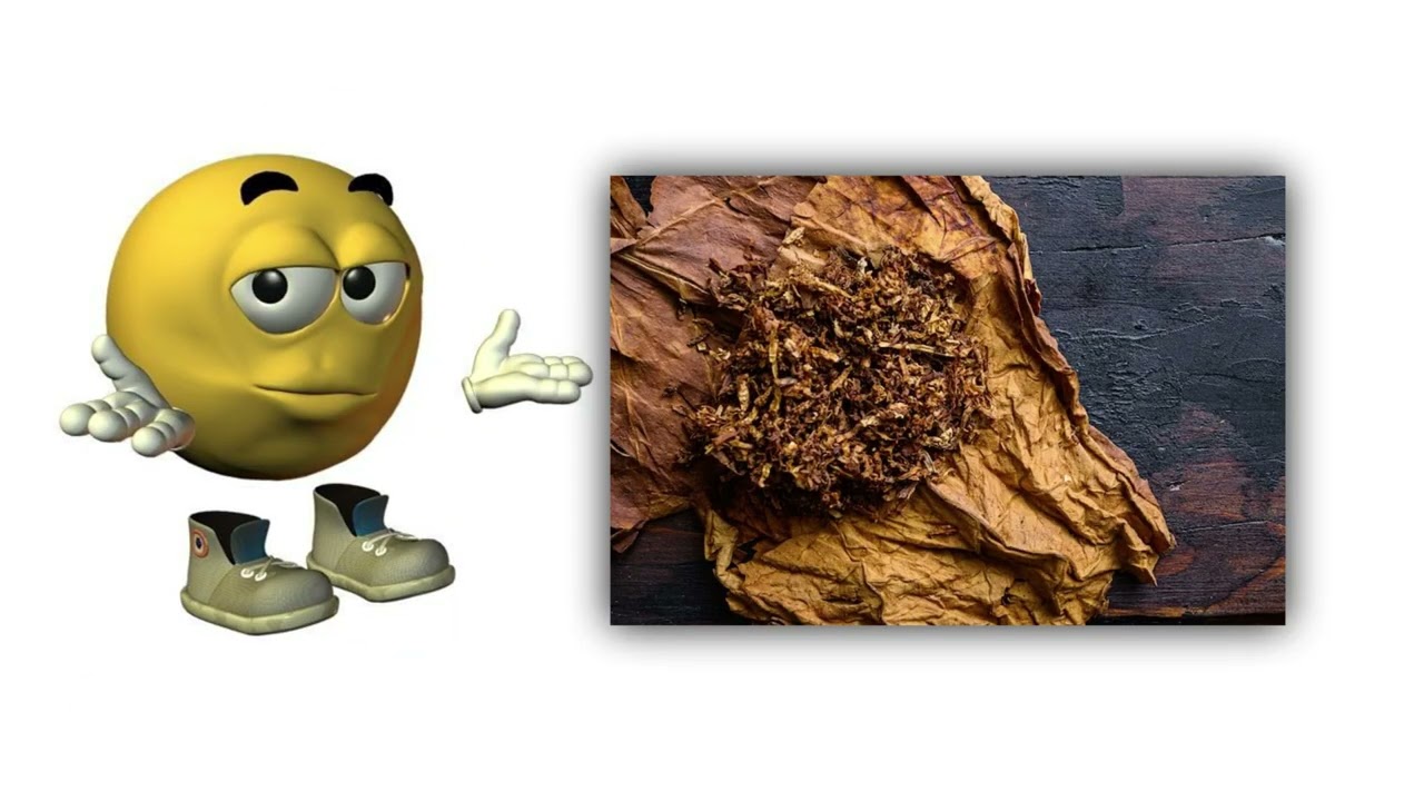 THE 7 LEVELS OF CIGARS EXPLAINED