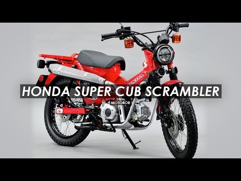honda-ct125-super-cub-scrambler/trail-cub-concept-announced-for-tokyo-motor-show-2019