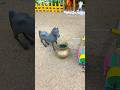 Black Horse Drinking Water from Mini Water Pump 🐎💦 | Real Working DIY|#shorts #youtubeshorts