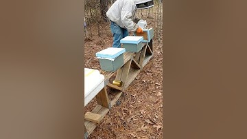 Charging our mini mating nucs