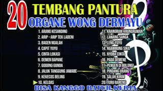 FULL ALBUM TEMBANG PANTURA || ORGANE WONG DERMAYU || BISA KANGGO BATUR KERJA