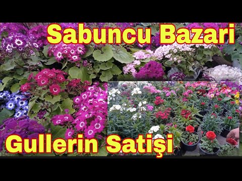 Sabuncu Bazari Gullerin Satişi 06.03.2022
