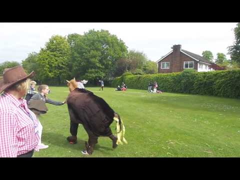 nspcc-panto-horse-races