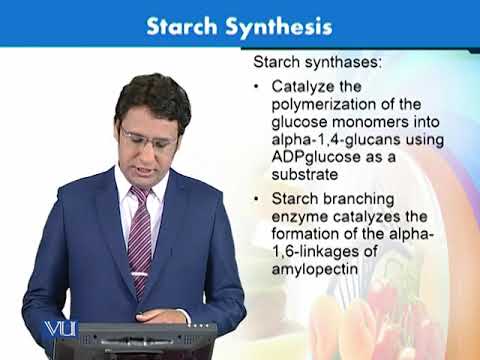 BT404_Topic172 pakistan kurucusu