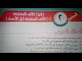 شرح وحل تدريبات درس الألف المتطرفة في الأسماء للصف الثاني الإعدادي الأزهري الترم الأول 2024