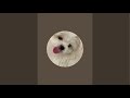 社会のストレスに効く犬 がライブ配信中!