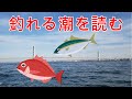 『釣行時一番役立つ情報は潮の流れ!』最も重要な潮流の読み方解説します