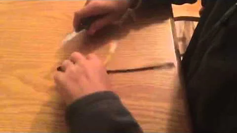 4-H demonstration part3