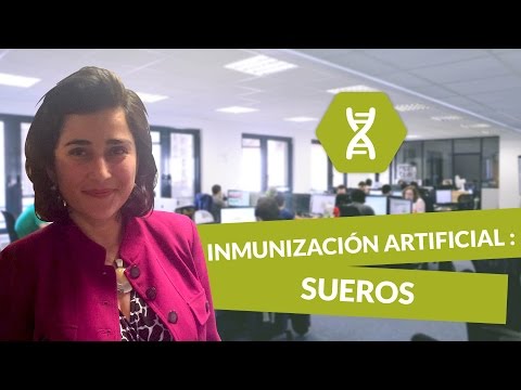 Vídeo: Diferencia Entre Suero Y Antisuero