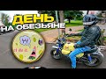 ОН ВАМ НЕ МОПЕД ! Самый ПОЗИТИВНЫЙ МОТОЦИКЛ! HONDA MONKEY