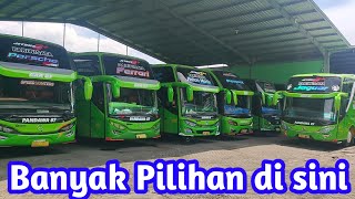 Bus Pariwisata Pandawa 87 Pasuruan Jawa Timur