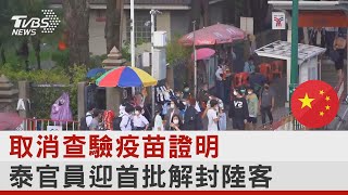 取消查驗疫苗證明 泰官員迎首批解封陸客｜TVBS新聞
