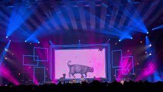 吳克群 薛定諤的貓  | 2019 這是你想要的生活嗎 台北特別場