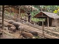 Grind rice and feed wild boars, Survival Instinct, Wilderness Alone (ep109)