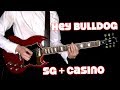 Hey bulldog  guitars cover  isolated sg  casino