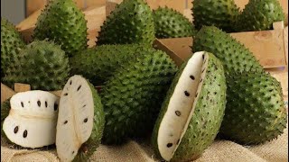How To REALLY Know When A Soursop Is Ripe! + #rawvegan advice!
