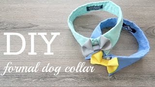 DIY #3 Formal Dog Collar & Call for COLLAB!!!