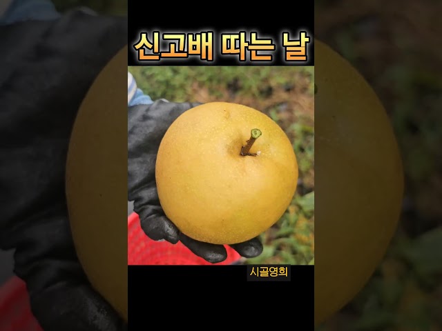 2025년 10월 15일