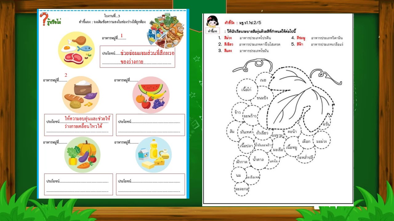 เฉลยใบงานอาหารหลัก5 หมู่ ป.3 - Youtube