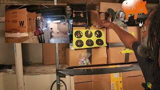@Kingbreakbarrell3600 Marlin goes on a duck hunt