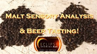 Malt Hot Steep Method and Review Eclipse Brewing Coconut Hefe - HBW