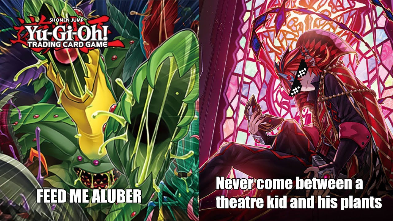 Yu-Gi-Oh TCG! The BEST budget Fusion deck! Lets make Predaplant BRANDED!