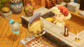 Fantasy Life I - Talk To Auntie Anne