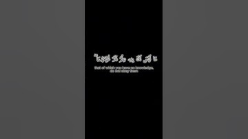 تلاوة هادئة