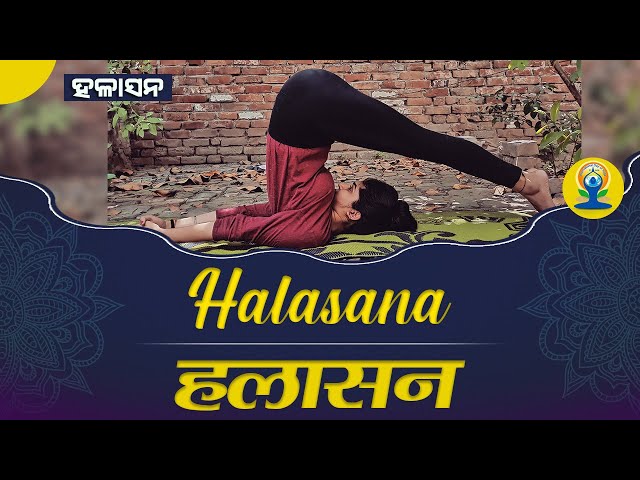 Halasana (Plough Pose) | हलासन | International Day of Yoga 2020 | Yog Rahasya | Satya Bhanja