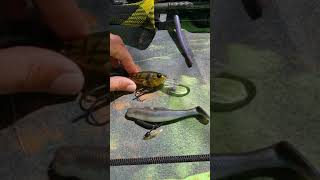 Pre Spawn Bass Lures at Texas Mystery Lakekayak crankbait fishing #shorts #youtubeshorts