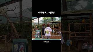 앵무새학과 교수님 모셨습니다ㅣ#NALDID #날딧