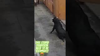 Find find another way to enjoy your tradition please!!!😡 #animals #animal #bull #stoptradition