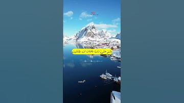 عندما يبدع القارئ || اسلام صبحي
