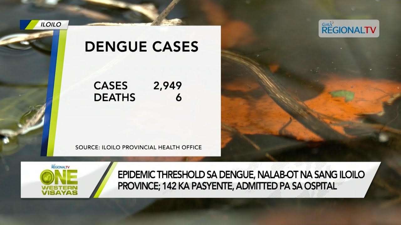 One Western Visayas: Epidemic threshold sa dengue, nalab-ot na sang Iloilo Province