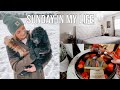 DAY IN MY LIFE | super bowl sunday, cleaning, & sending our last puppy home