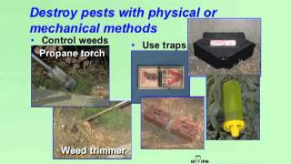 IPM in Schools - Practicing IPM in Schools