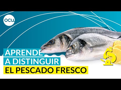 Cómo saber si un pescado es fresco? - Conservas Zallo