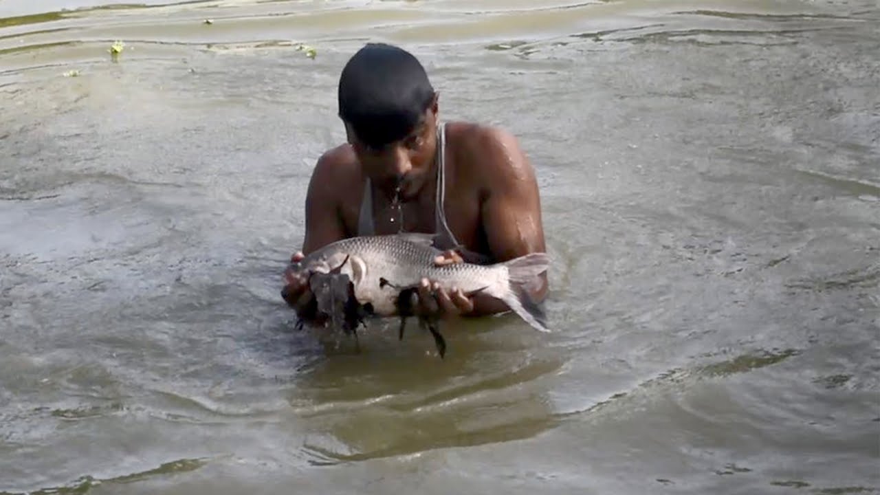 Catching Fish From UnderWather | Best Diving and Fishing With Hand | Fishing Method - P-78