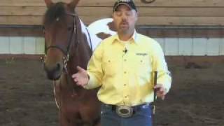 Bridle Work Introduction