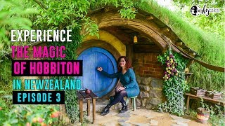 Exploring New Zealand Ep 3 | The Village of Hobbiton | Curly Tales